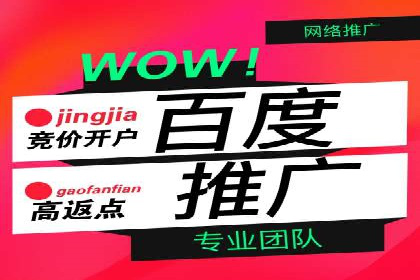 百度推广代运营公司成功案例解析